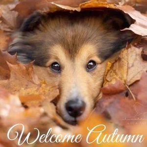 Meet your Posher, Tammie